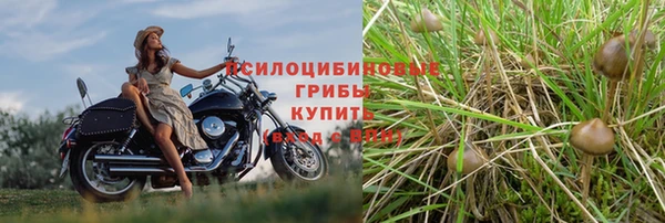 круглые Алзамай
