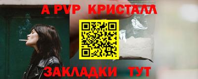 ECSTASY Новодвинск
