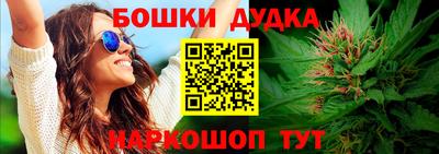 ECSTASY Новодвинск