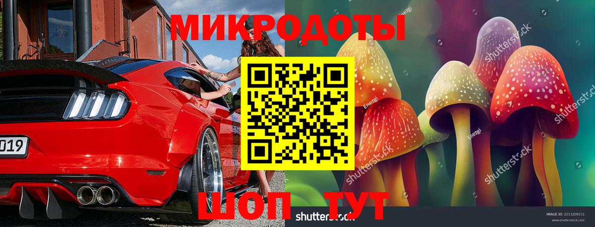 Чебаркуль  Галлюциногенные грибы Cubensis  Вход с VPN  Псилоцибиновые грибы мицелий 